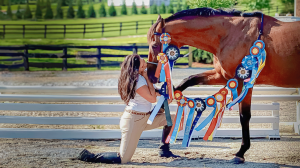 Joy Nakrin, OTTB, Enduring Honor Thoroughbred Aftercare Alliance, Blue Bloods Thoroughbred Adoption and Placement
